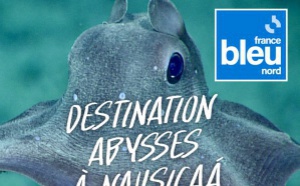 France Bleu Nord plonge dans les abysses à Nausicaa